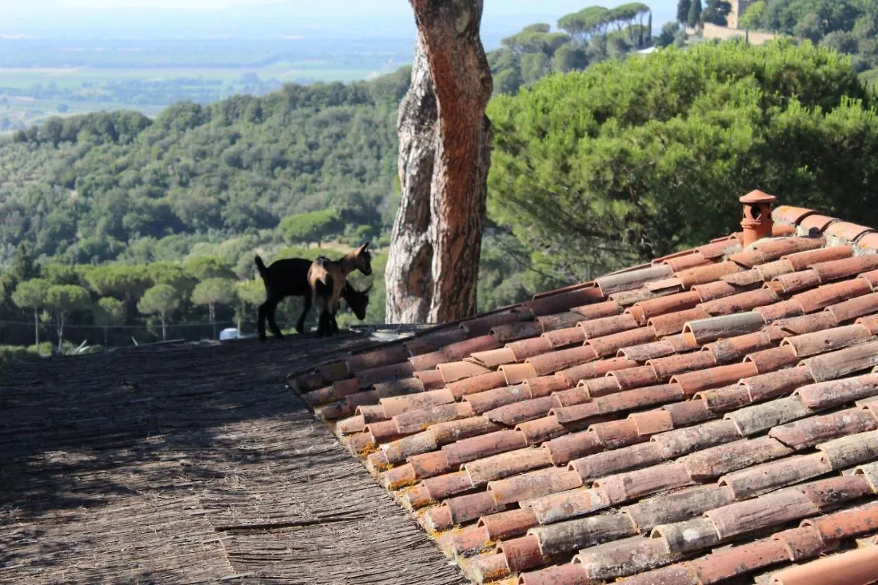 Luxury tent Agricamping La Gallinella Hotel Castagneto Carducci Italy