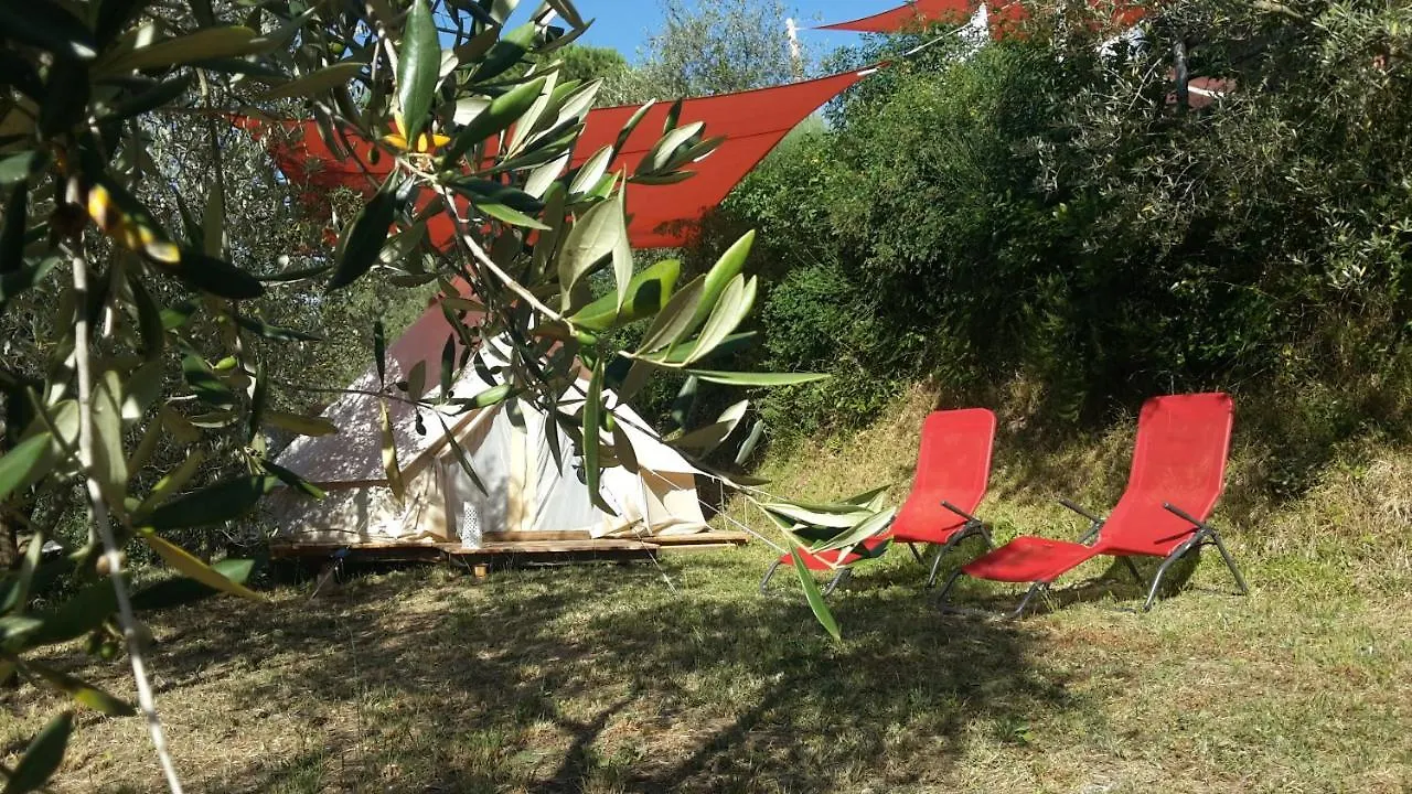 Luxury tent Agricamping La Gallinella Castagneto Carducci Italy