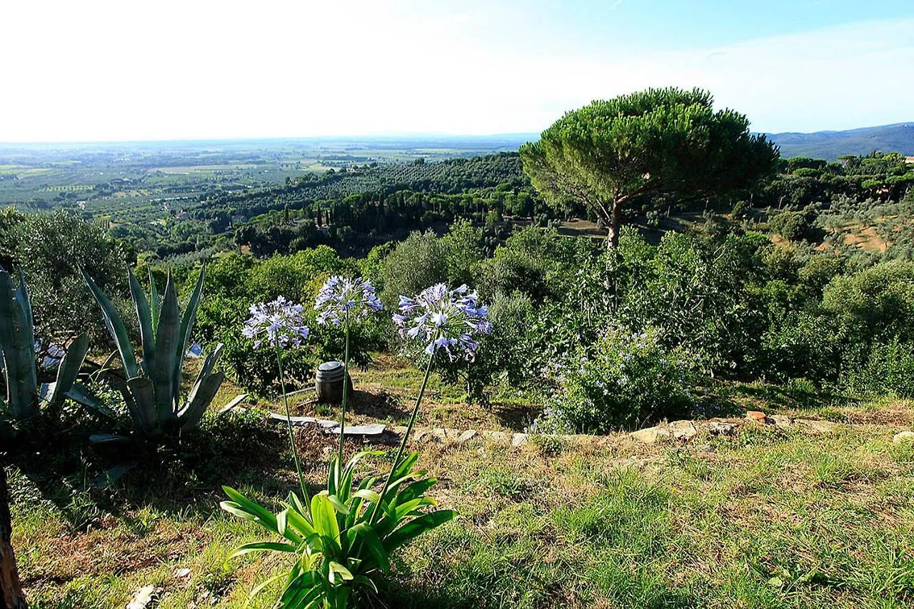 Luxury tent Agricamping La Gallinella Hotel Castagneto Carducci