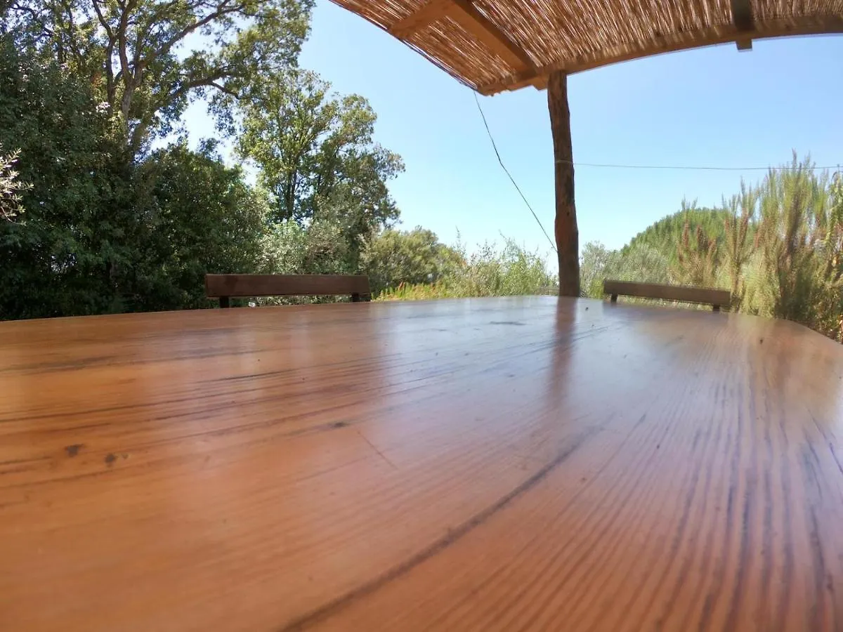 Luxe tent Agricamping La Gallinella Castagneto Carducci