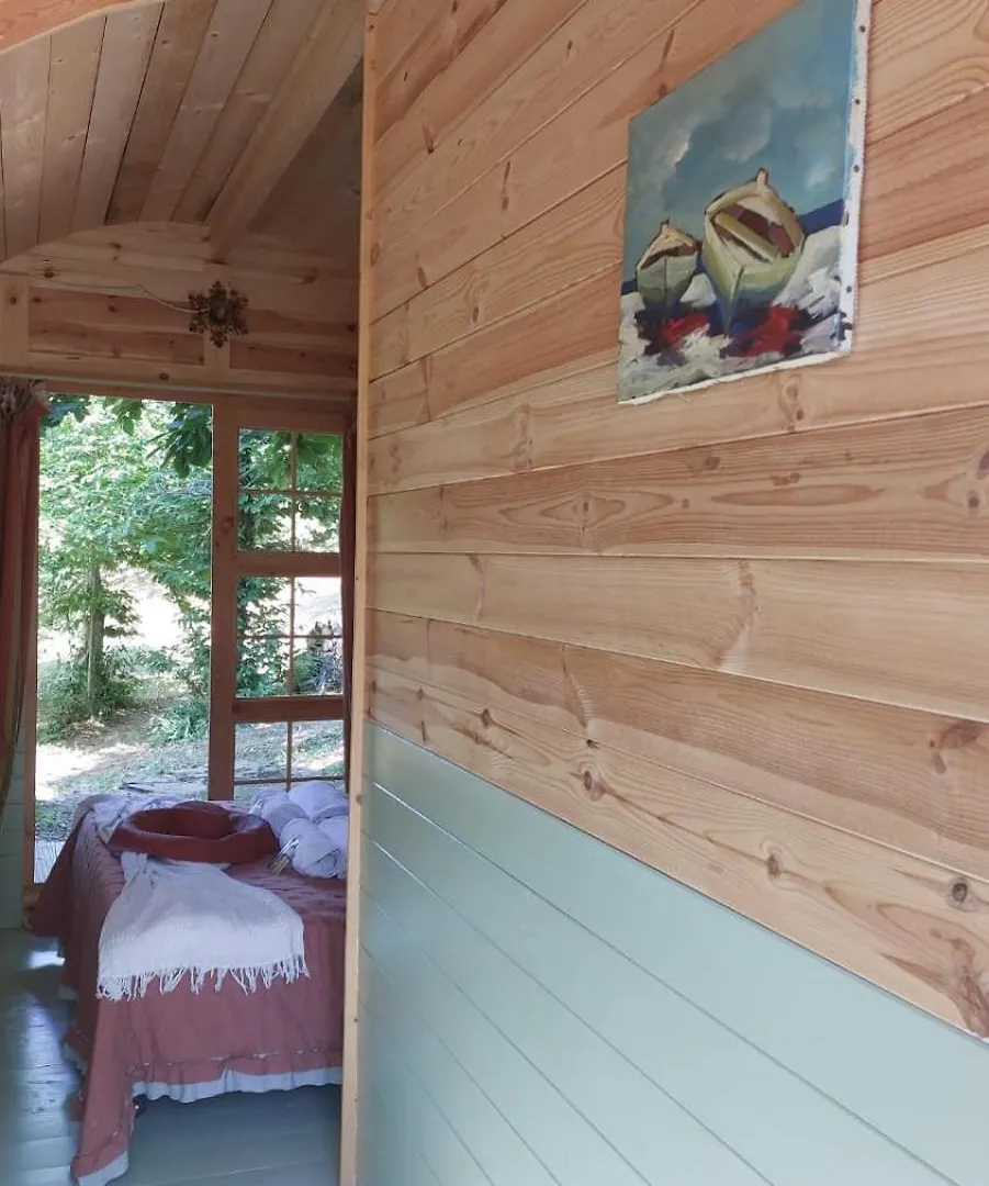 Agricamping La Gallinella Castagneto Carducci Luxury tent