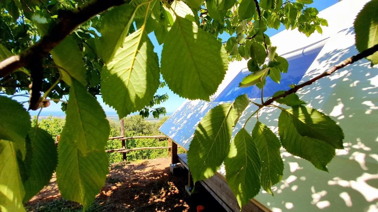 Agricamping La Gallinella Castagneto Carducci Luxury tent