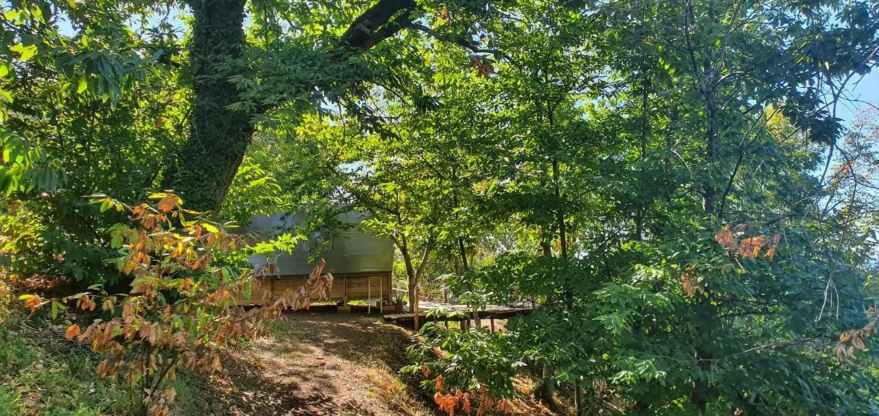 Agricamping La Gallinella Castagneto Carducci Luxury tent